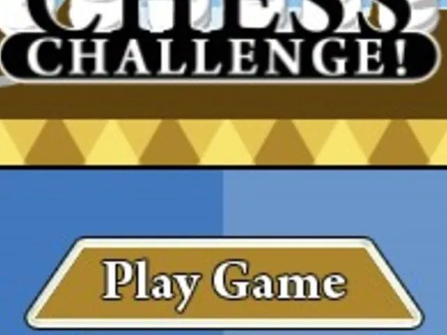 Chess Challenge!