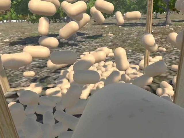 Chicken VR