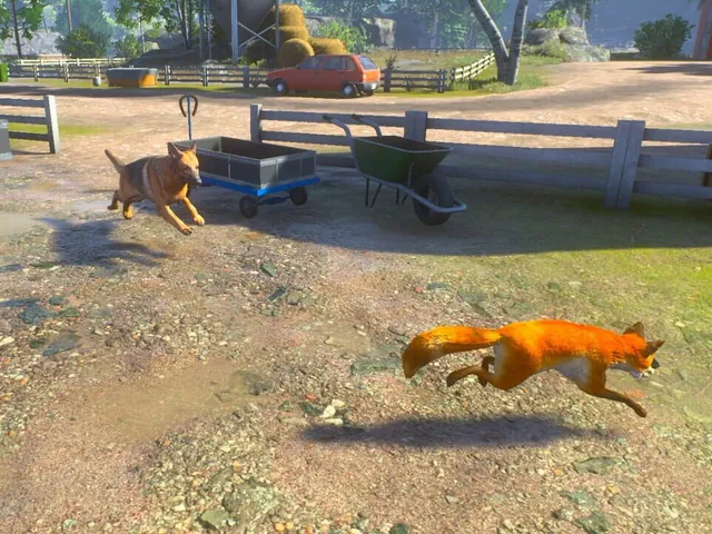 Chill Fox