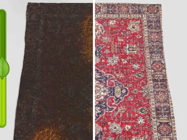 Clean My Carpet: ASMR Washing