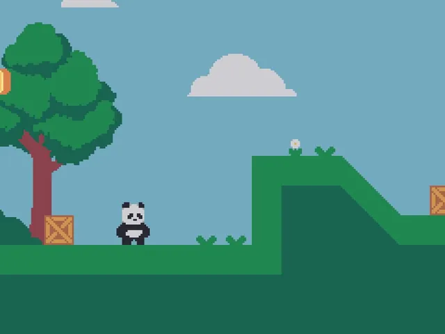 CoderBear