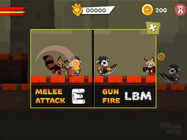 Combat Raccoon
