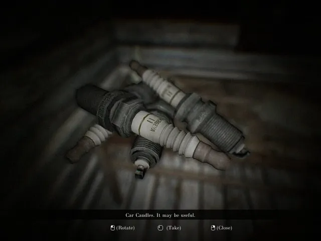 Concealment