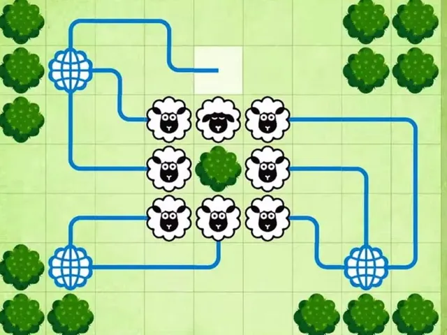 Connect Sheep