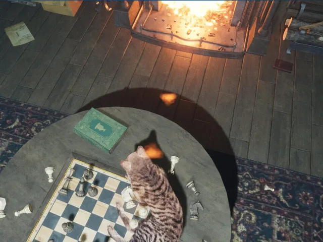 CozyCat Simulator