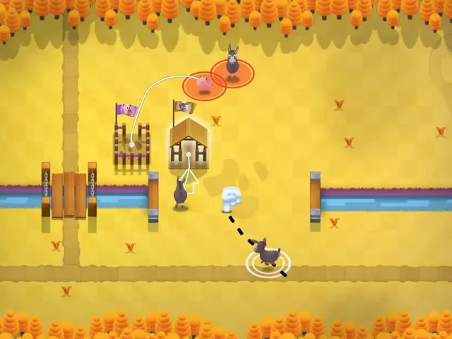 Crowdy Farm Rush