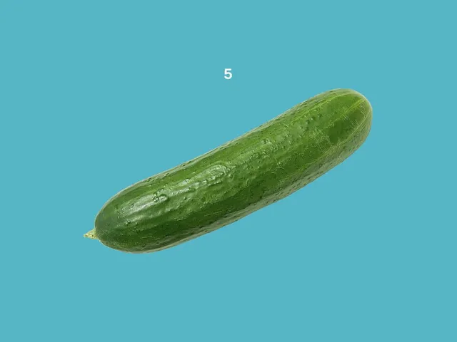 Cucumber