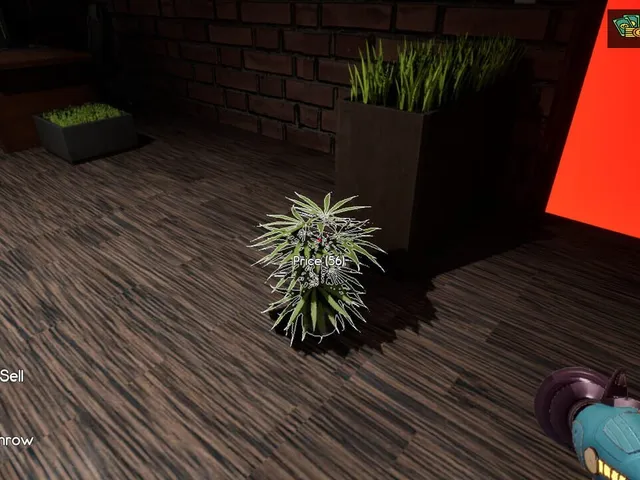 Cyber Cafe Simulator