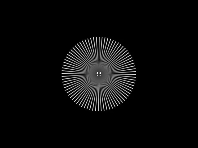 Dark Echo