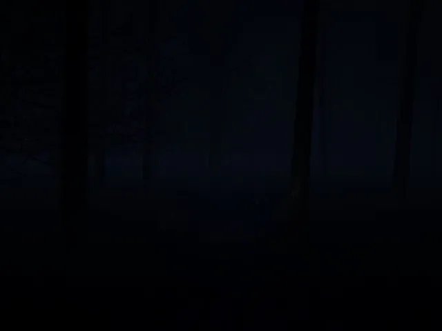 Dark Haunting