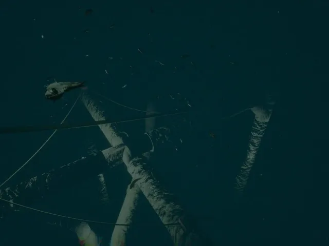 Dark of the Depths