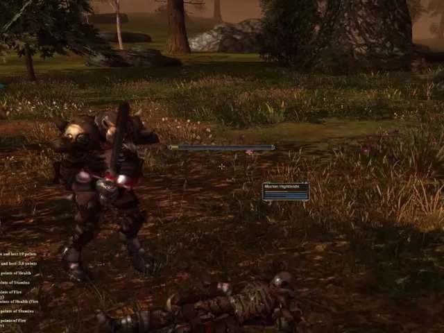 Darkfall: New Dawn
