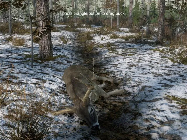Deer Hunting Camp