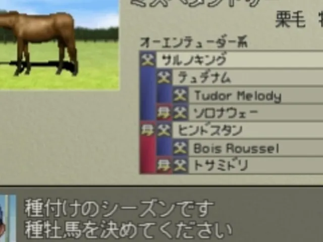 Derby Stallion 99
