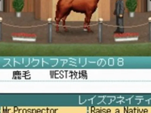 Derby Stallion DS