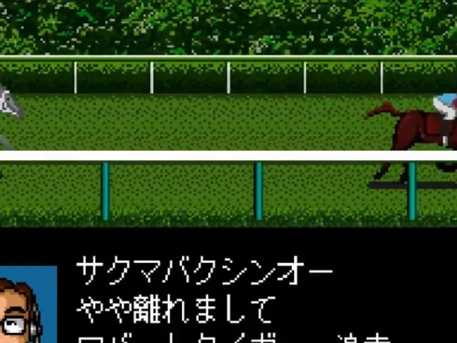 Derby Stallion Expert Kit