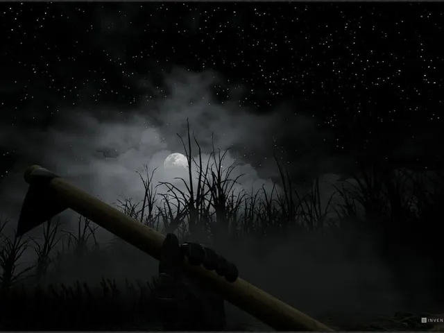 Descending The Woods