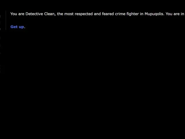 Detective Clean