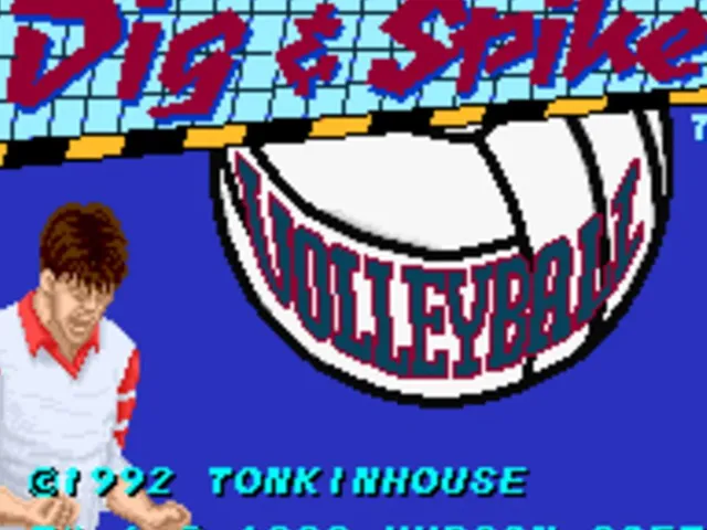 Dig & Spike Volleyball
