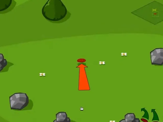 Disc Golf