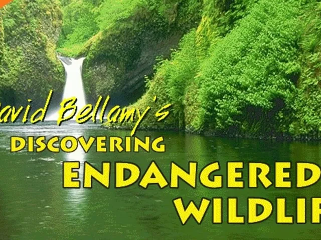 Discovering Endangered Wildlife