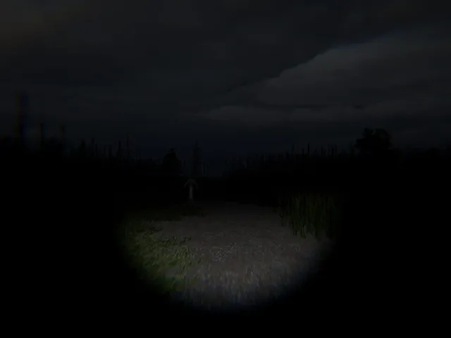 Disquiet Fields