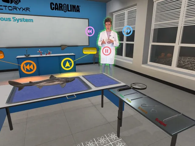 Dissection Simulator: Dogfish Edition