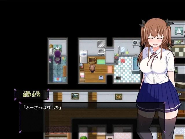 Do Disciplinary Committee Members Dream of Succubi?