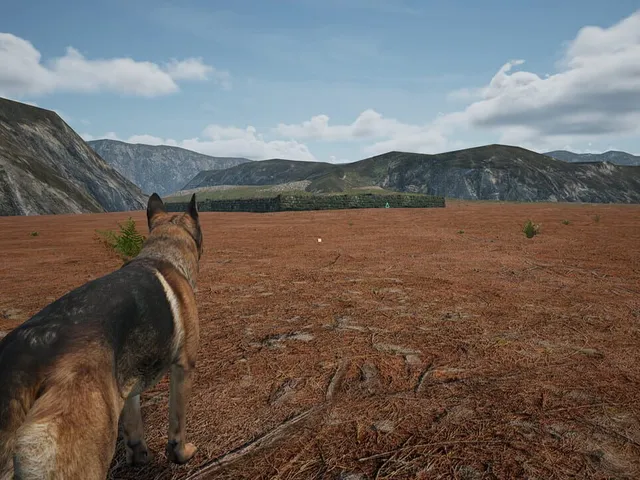 Dog Fox Bunny