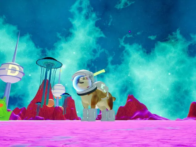 Doge Dimensions