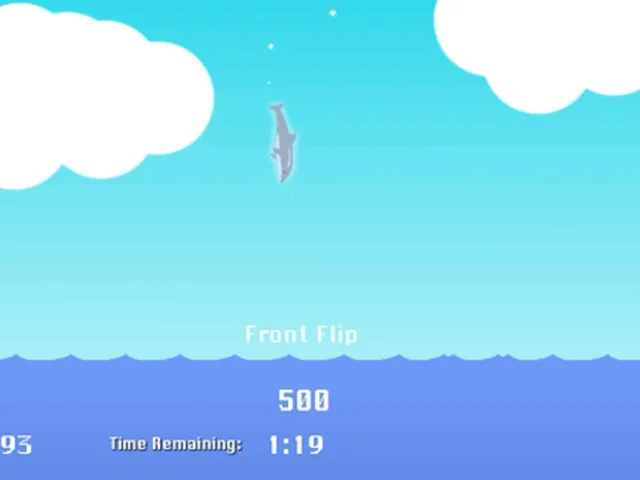 Dolphin Olympics