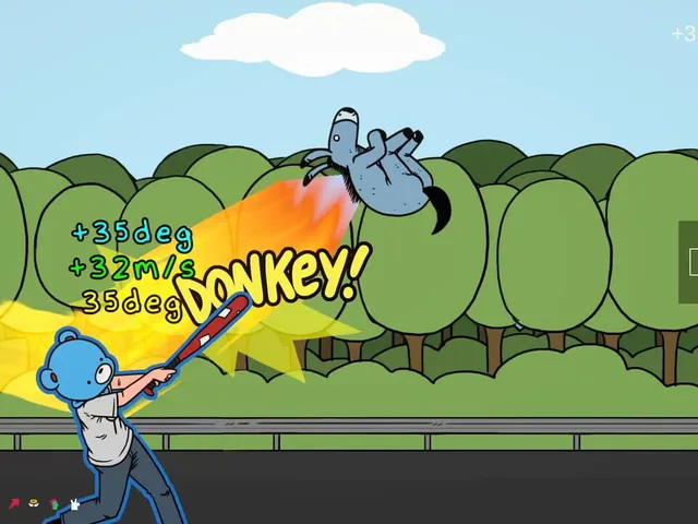 Donkey Ball