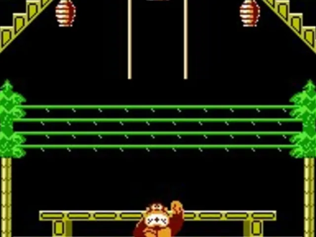 Donkey Kong 3