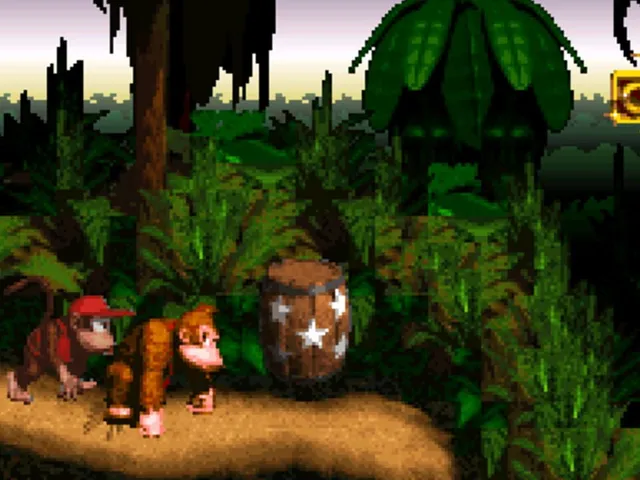 Donkey Kong Country