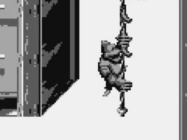 Donkey Kong Land III