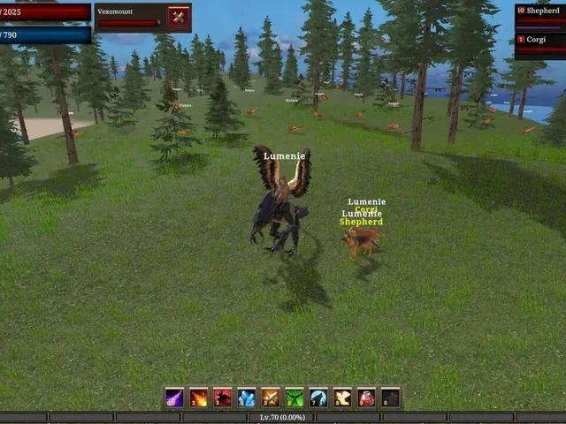 Downfall MMORPG