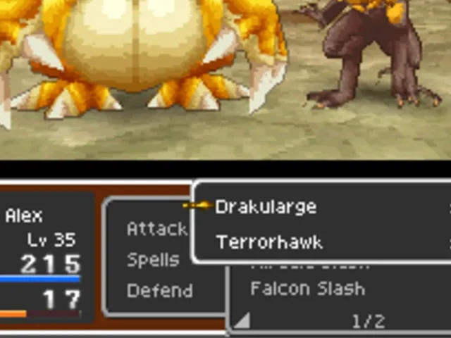 Dragon Quest IX: Sentinels of the Starry Skies