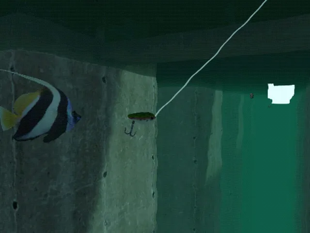 Dream Fishing