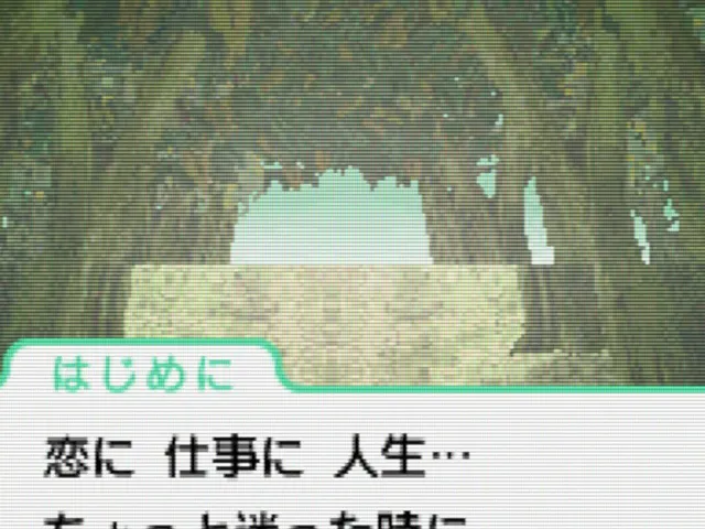 DS Uranai Seikatsu