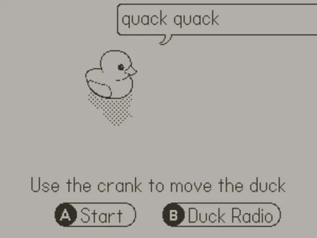 Duck Game