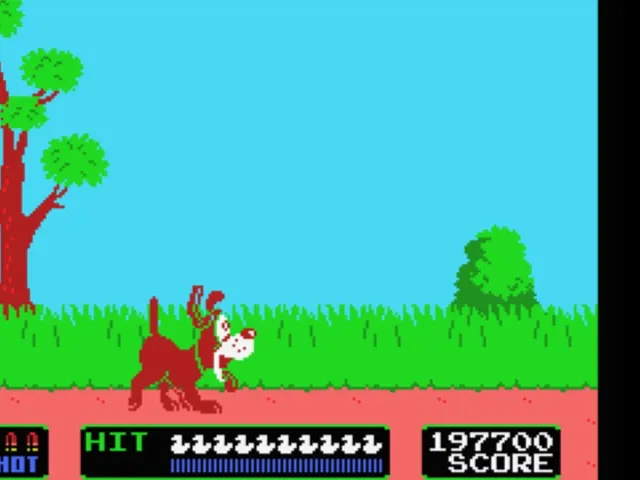 Duck Hunt