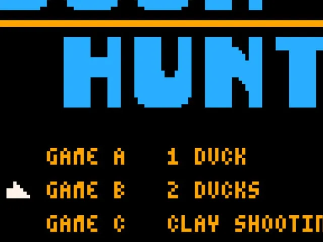 Duck Hunt