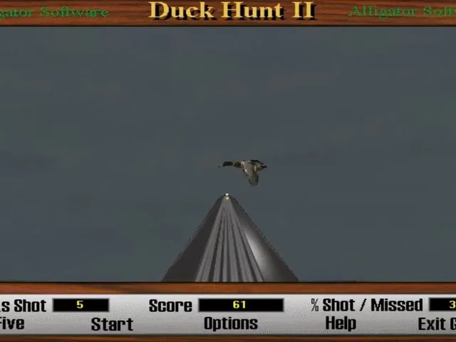 Duck Hunt 2