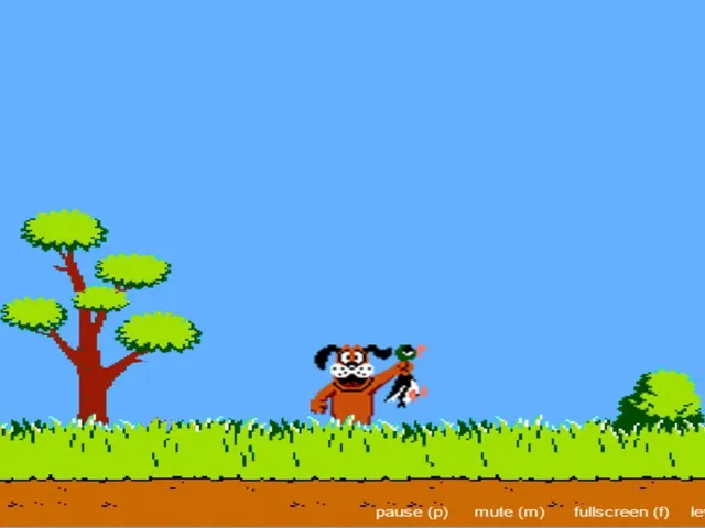 Duck Hunt JS