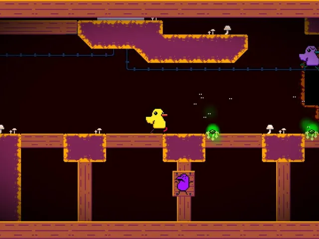 Duck Run