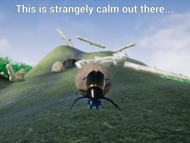 Dung Beetle