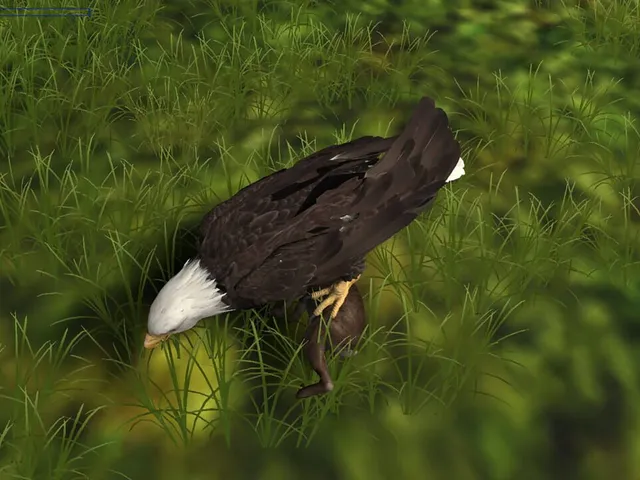 Eagle Hunting Journey