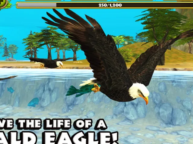 Eagle Simulator