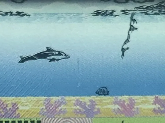 Ecco the Dolphin