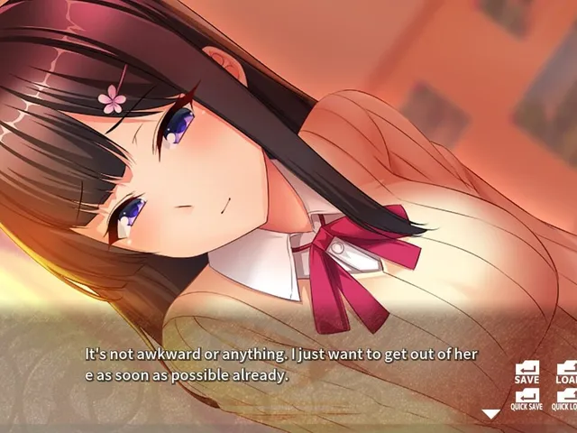 Elder Sister's Love Training